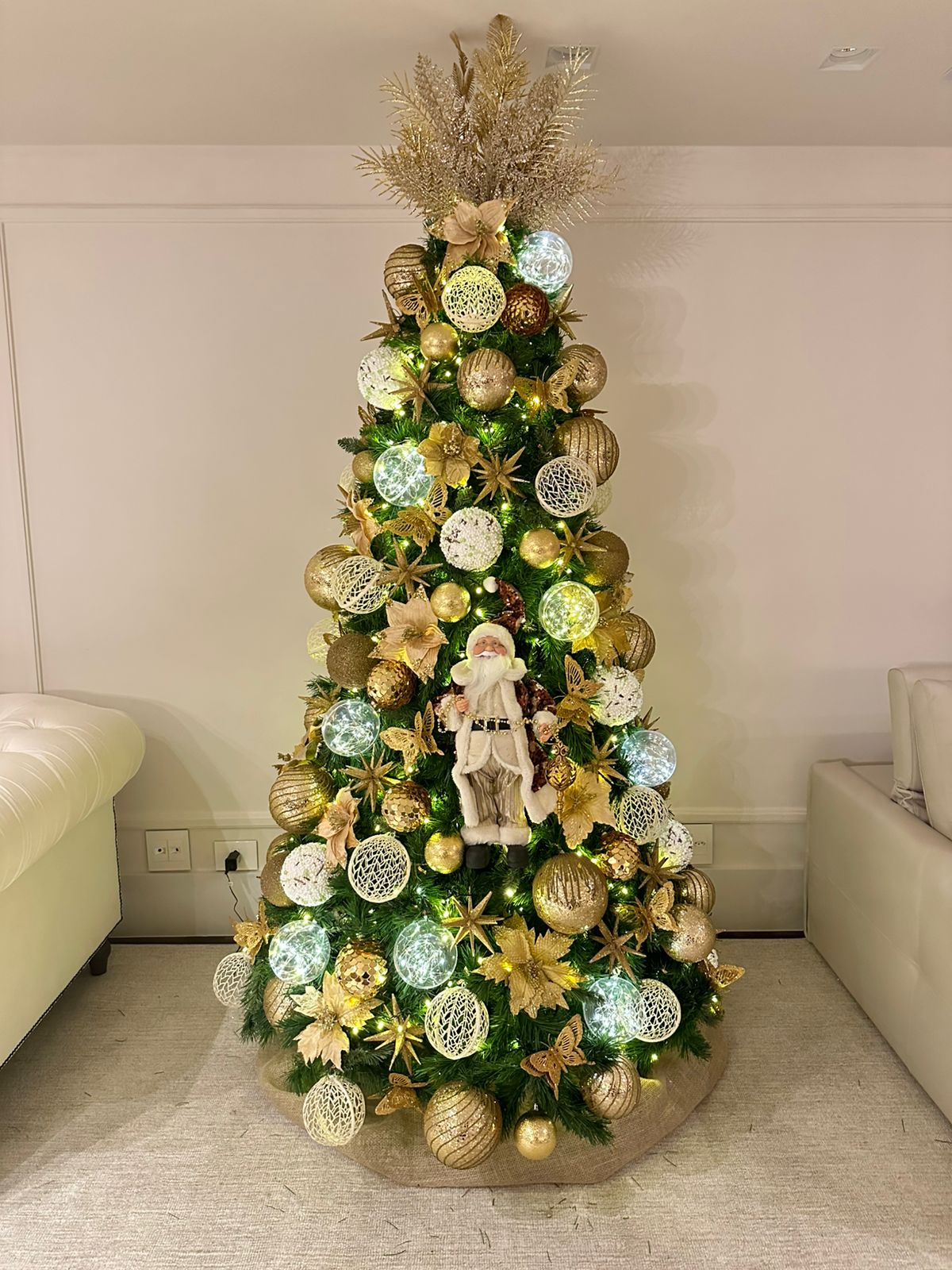 WhatsApp Image 2025-10-12 at 00.11.19