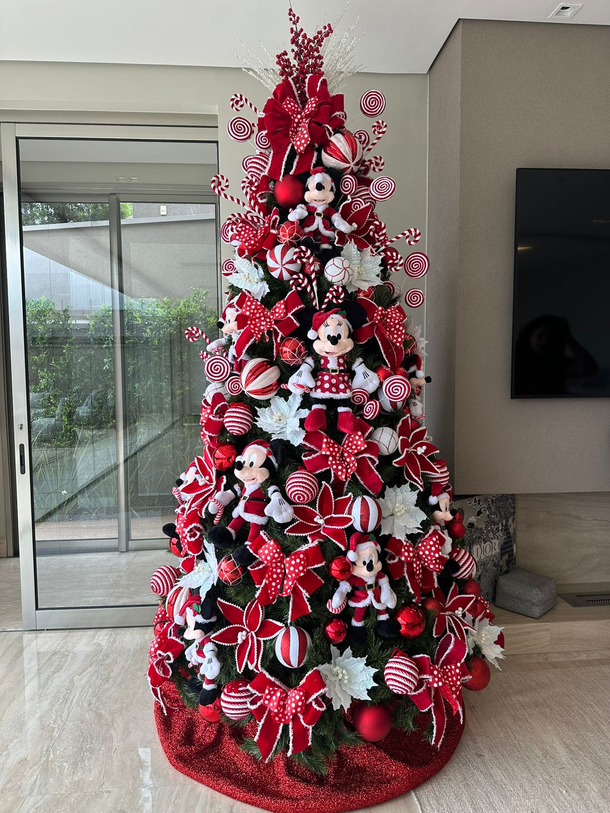 WhatsApp Image 2025-10-12 at 00.17.44