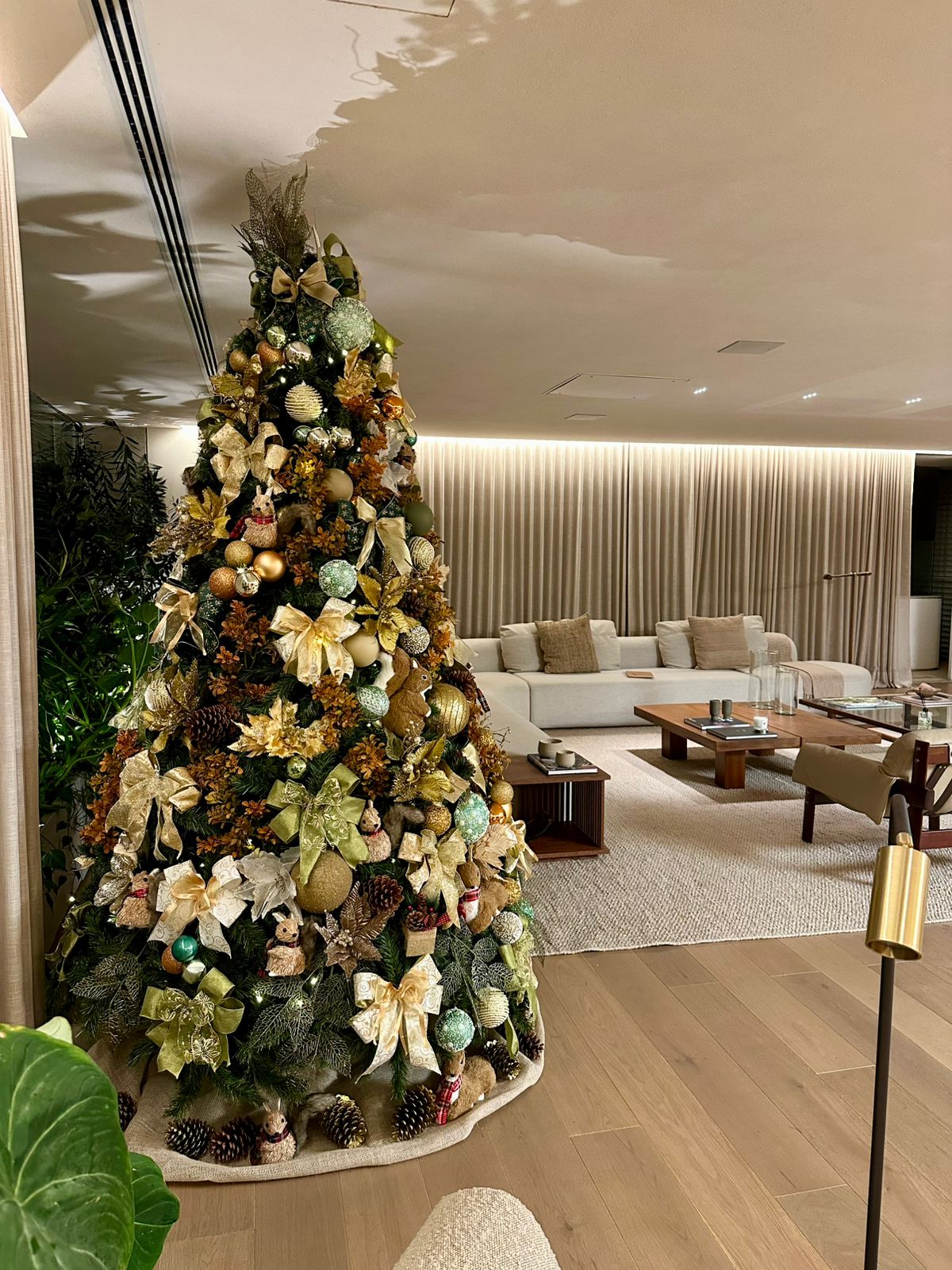 WhatsApp Image 2025-10-12 at 00.21.22 (3)